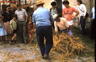 1979 fête de l'été 3