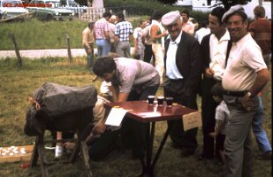 1979 fête de l'été 5