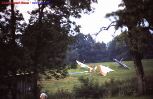 1982 fête de l été 2