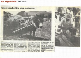 1985 articles 2 A 4