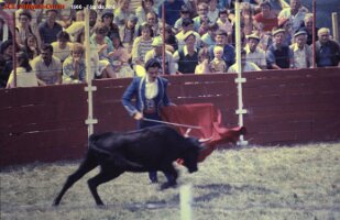 1986 fête de l été 2