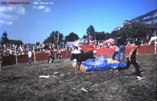 1986 fête de l été 4