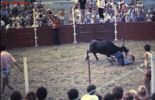 1986 fête de l été 5