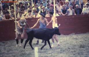 1986 fête de l'été 13