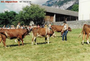 1987 fête de l 'été 1