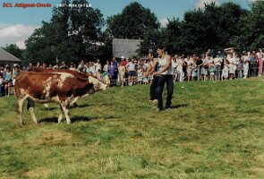 1987 fête de l 'été 2