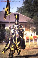 1991 fête de l été 2