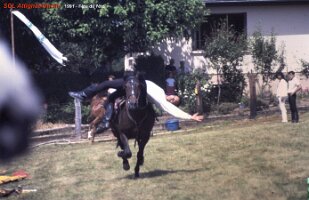 1991 fête de l été 6
