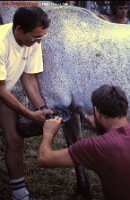 1992 fête de lété