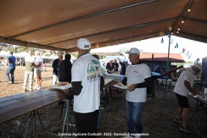 9Q1A6933